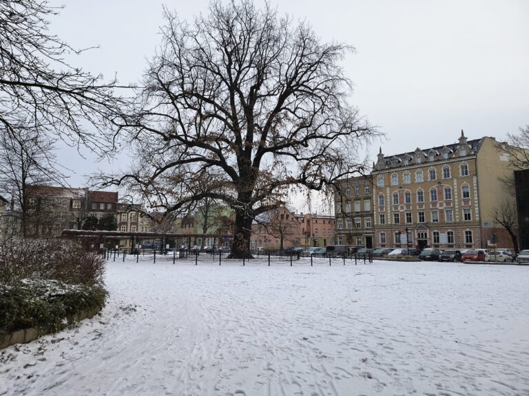 Plac Metziga zimą