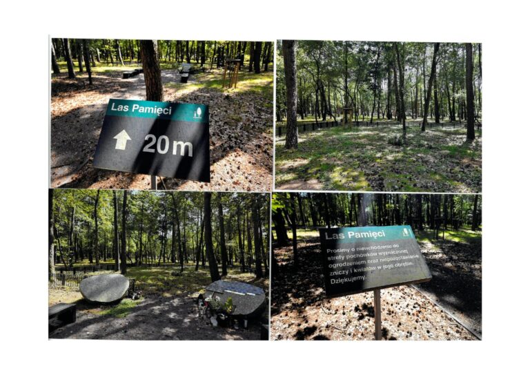 Na cmentarzu przy Osieckiej powstanie „Łąka Pamięci”?