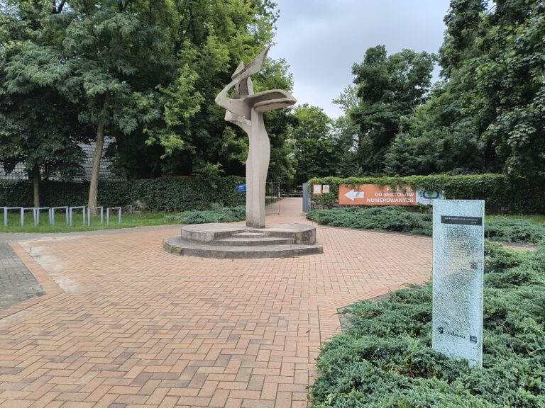 Co dalej z Tarzanem w Parku Tysiąclecia?