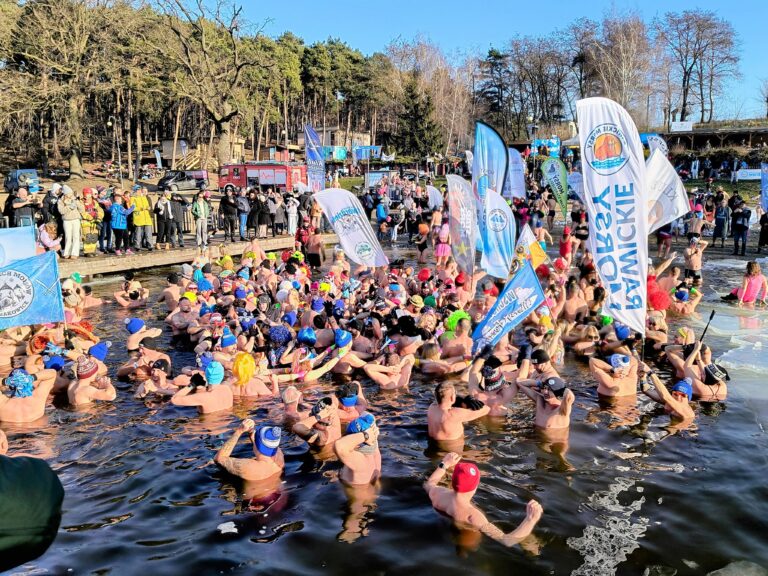 Morsy i foczki opanowały Lgiń