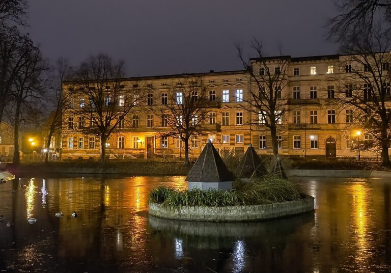 Był pomysł, ale łabędzie na Kościuszki nie wrócą