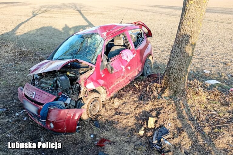 Kraksa w lesie i ucieczka. Kierowca miał ponad 2 promile