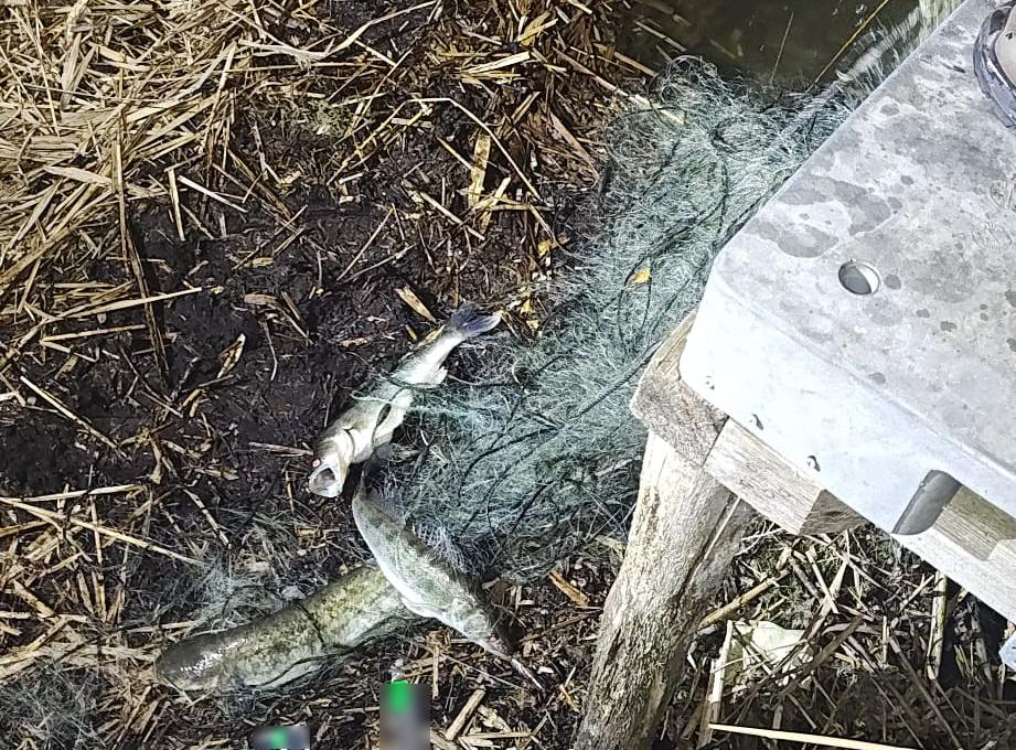 Kłusowali na Jeziorze Wojnowickim – usłyszeli zarzuty