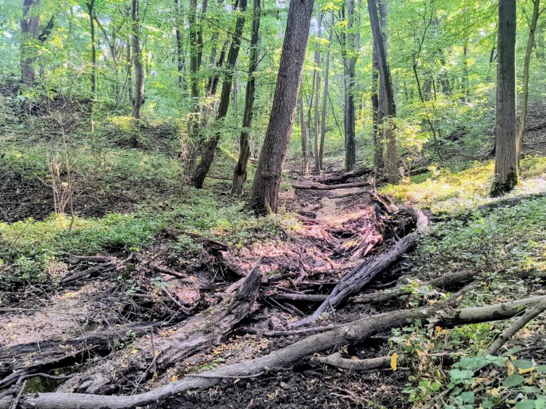 Gmina planuje mostek nad Jaworowym Jarem