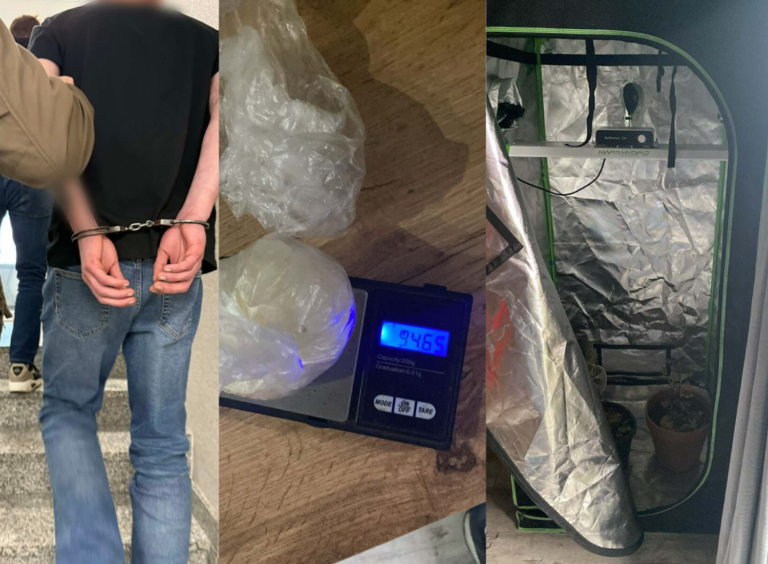 Kopnięcie w twarz i „plantacja” w domu. 29-latek z gminy Piaski usłyszał trzy zarzuty