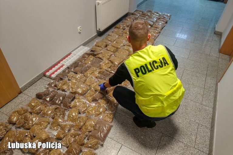 Tytoń z woreczków i papierosy bez banderol