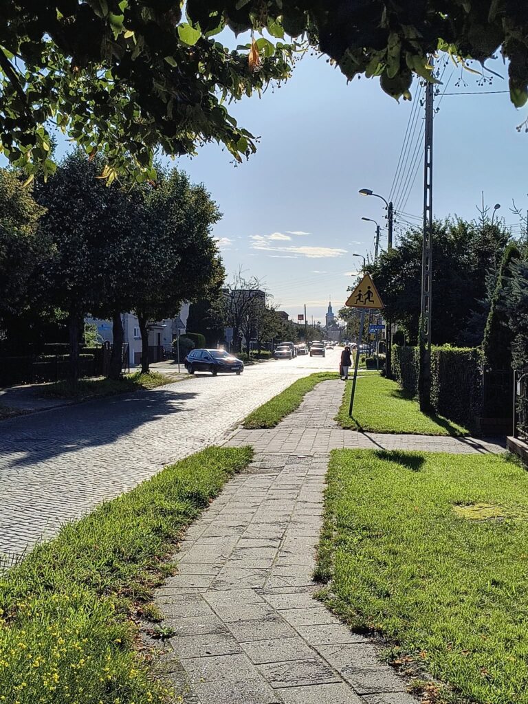 Zatorze z najlepszym wynikiem w głosowaniu nad Budżetem Obywatelskim 2027