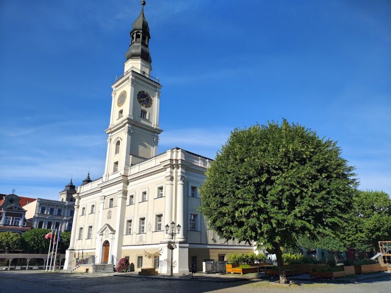 Leszno może zaciągnąć do 51 mln zł pożyczki. Radni wyrazili zgodę