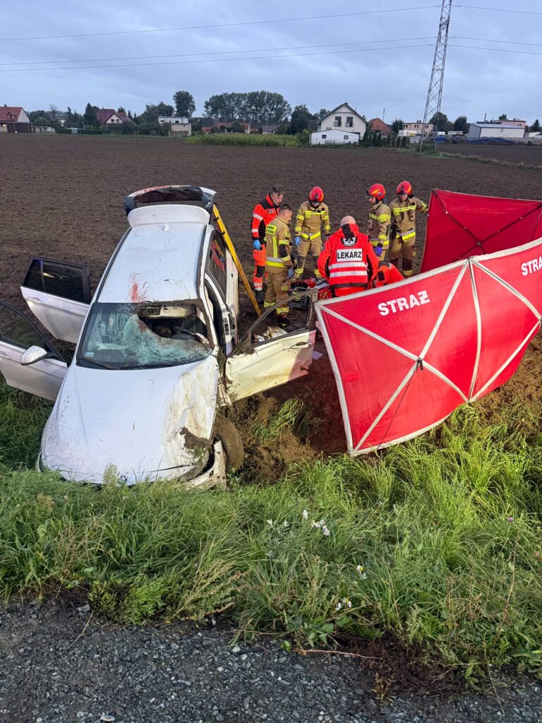 Sarna wpadła do środka BMW na obwodnicy Gostynia. 20-latek trafił do szpitala