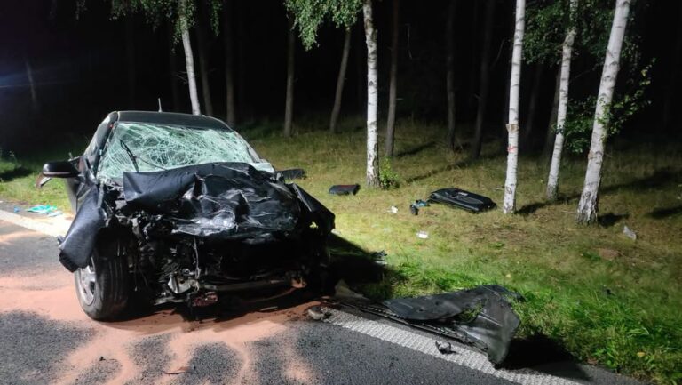 Tragiczny wypadek na DW309. Nie żyje 18-latka
